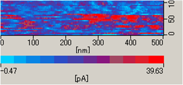 Measurement result of soft conductive material AFM mode current image