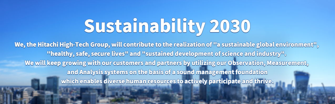 Sustainability 2030