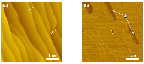 Scanning-probe microscopy images of graphene on SiC. (a) Morphology image. (b) Phase image
