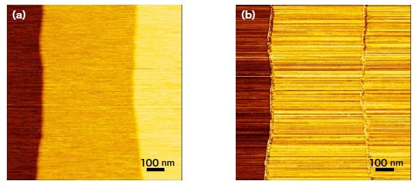 SPM images obtained with nanocarbon probe. (a) Morphology image. (b) Current image