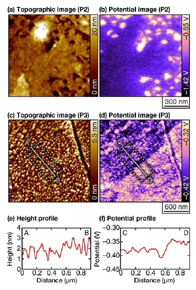 Topographic and potential images for a duplex stainless steel sample in an acidic solution of pH 3, acquired after the sensitization processing