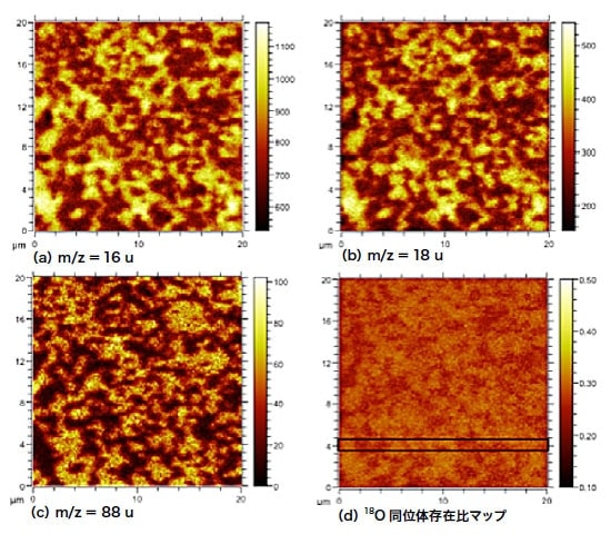 700℃で交換したCGO-LSCF複合材料のToF-SIMS法による負二次イオン画像