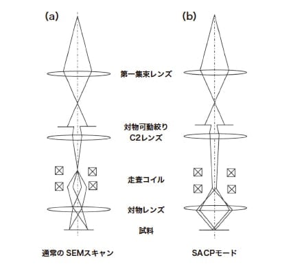 図3 （a）通常のSEMスキャンと（b）SACP取得時の電子線照射方法の模式図（SU5000 電子線傾斜照射機構 instruction manual より）
