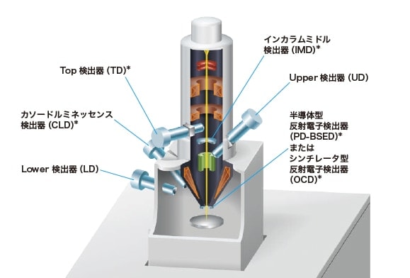 図４ SU8600の鏡筒断面及び検出器配置図 ＊はオプション検出器