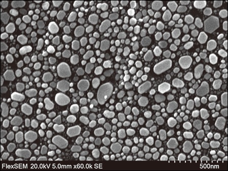 SE image resolution: 4.0 nm