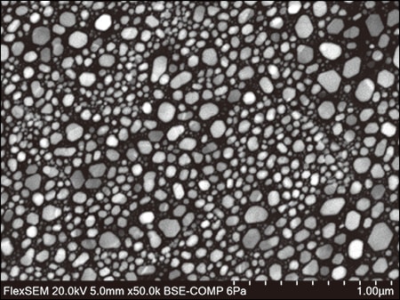 BSE image resolution: 5.0 nm