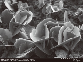 Advanced Materials