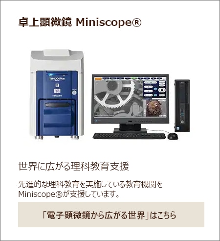 電界放出形走査電子顕微鏡（FE-SEM）