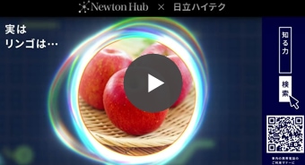 リンゴが赤く見えるのはなぜ？