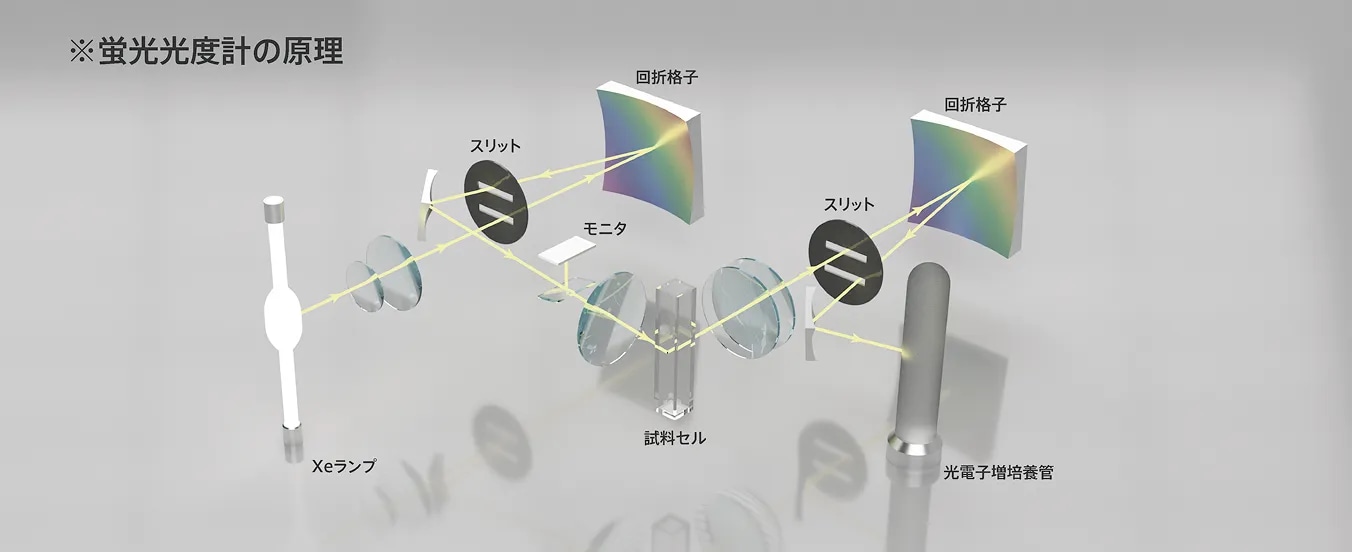 分光光度計の構造図（プリズムと検出器）