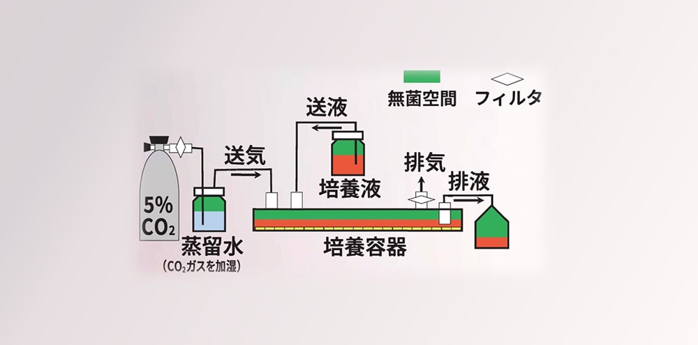 イメージ画像