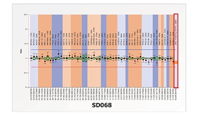 DS3000 Compact CE SequencerにおけるMLPA® 解析の実例