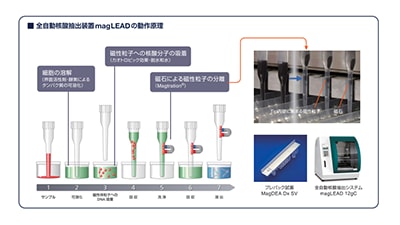 DS3000を用いたマイクロサテライト不安定性分析の紹介