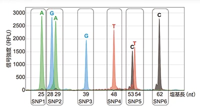 DS3000 Compact CE Sequencerの新機能を用いたSNaPshot® 解析