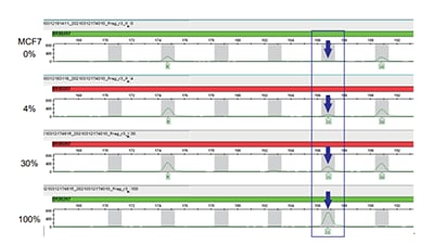 DS3000 Compact CE Sequencerを用いた細胞認証の実例