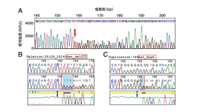 DS3000 Compact CE Sequencerを用いた次世代シーケンスデータの確認