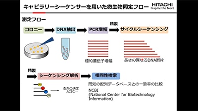 キャピラリーシーケンサDS3000とSEQUENCHERを用いた微生物同定