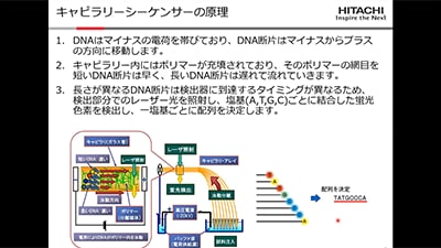 [基礎編] キャピラリーDNAシーケンサデータを用いたDNA配列解析ソフトウェアSEQUENCHERの基本的機能の紹介