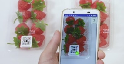 温度管理サービス