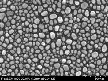 Secondary Electron (SE) Image