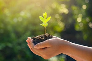 Sustainability