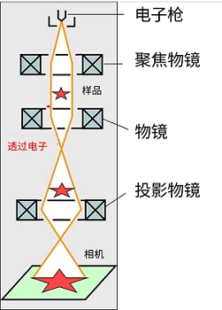通过电子束穿透样品观察的TEM代表型号