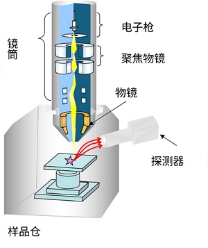 SEM通过扫描聚焦电子束观察。