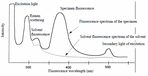图A 荧光光谱测量