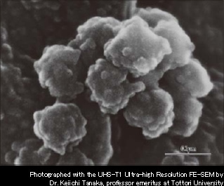 Photographed with the UHS-T1 Ultra-high Resolution FE-SEM by Dr. Keiichi Tanaka, professor emeritus at Tottori University