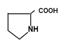 Fig.2 Structure of Proline (Pro)