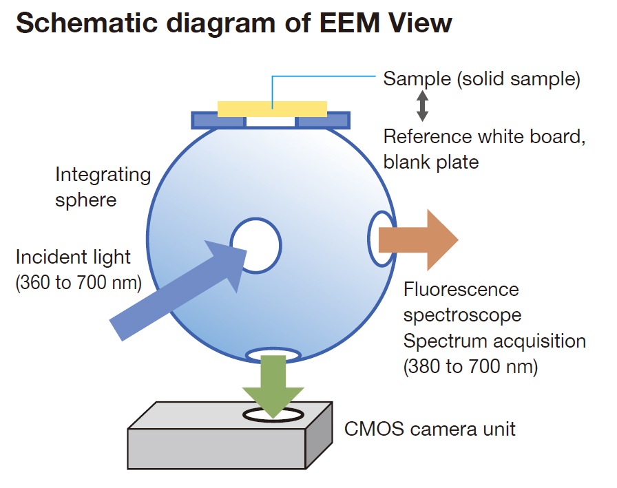 Schematic diagram of EEM View