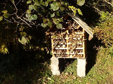 image：An installed insect hotel