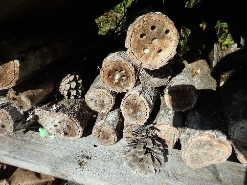 Holes burrowed into the fillings such as tree branches and bamboo in the existing Insect Hotel