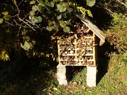 The newly completed 2nd Insect Hotel