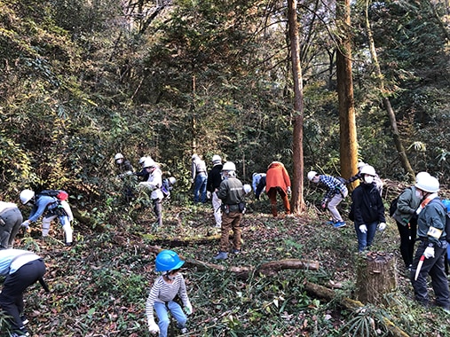 The volunteers working on forest maintenance