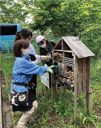 The Takao Forest Nature School replaces nesting materials in an insect hotel