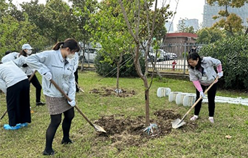 photo：Employees placed soil over the saplings’ roots with a strong hope for their future growth.