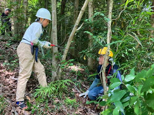 Employee family members also worked hard on thinning activities.