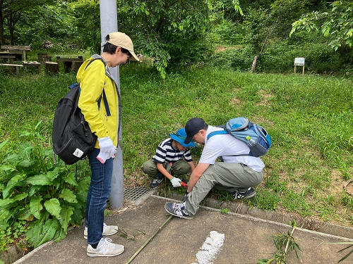 Everyone enjoyed the experience of making the insect hotel together.