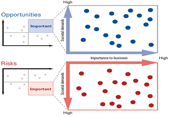 Diagram: Important in terms of opportunities and risks