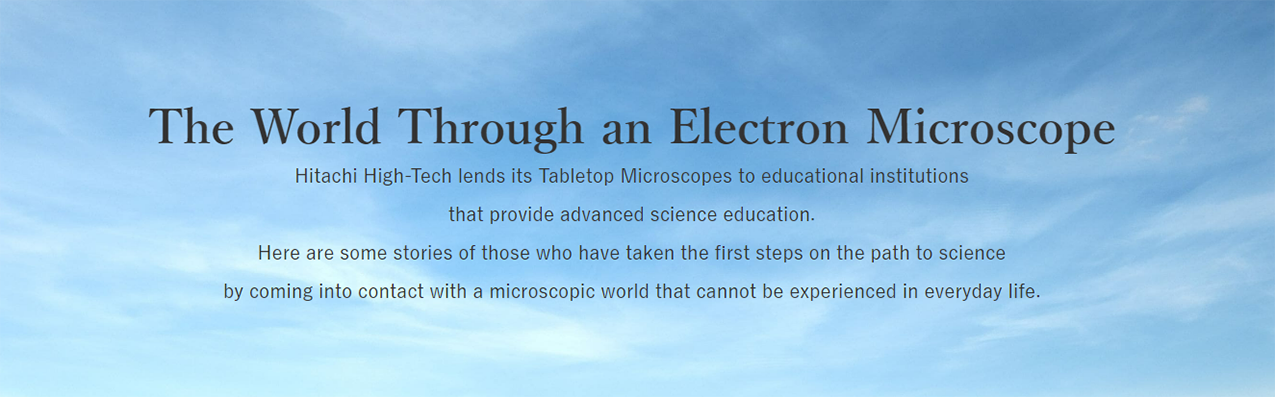 The World Through an Electron Microscope
