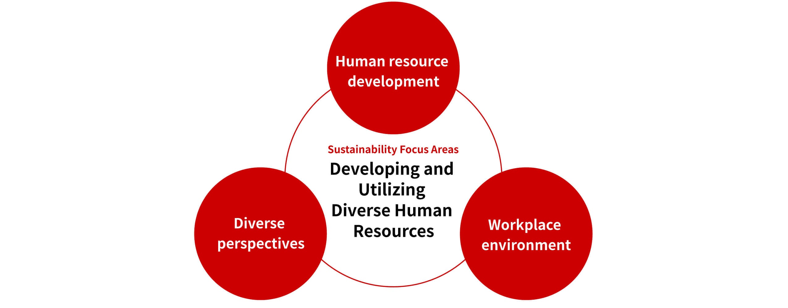 Diagram centering on &lsquo;developing and leveraging a diverse workforce,&rsquo; connected to three elements: talent development, diverse perspectives, and workplace environment.