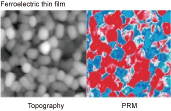 Ferroelectric thin film