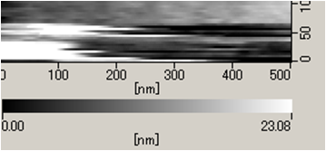 Measurement result of soft conductive material AFM mode Shape image