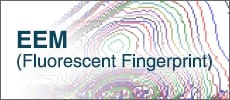 EEM (Fluorescent Fingerprint)