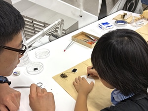 Preparing various samples for observation