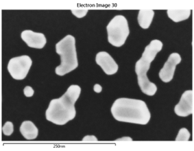 Electron Image 30