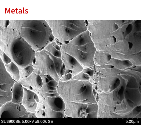 Fracture surface of iron wire