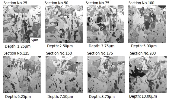 Serial section SIM images