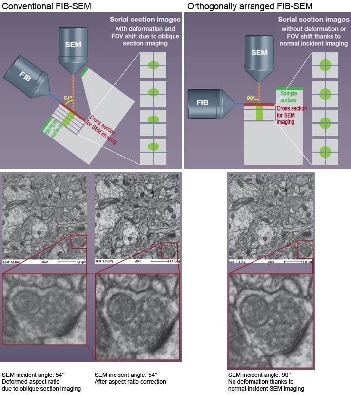 Conventional FIB-SEM , Orthogonally arranged FIB-SEM